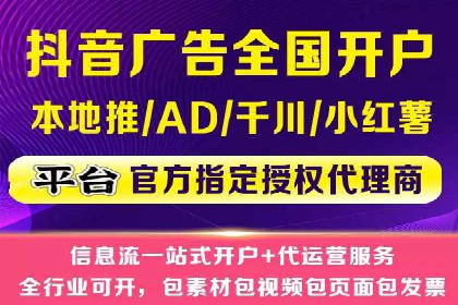 大型企业SEM外包实战案例